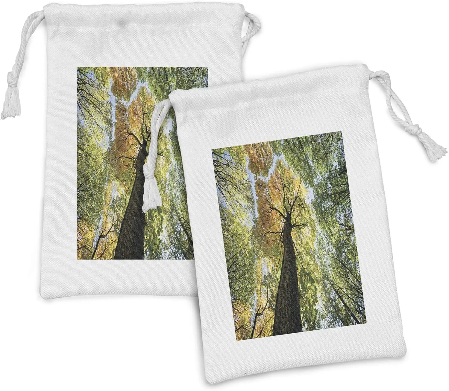 Ambesonne Tree Fabric Pouch Set of 2, Forest in Autumn Green Nature Deciduous Foliage Growth Eco, Small Drawstring Bag for Toiletries Masks and Favors, 9" x 6", Dark Brown Pale Green