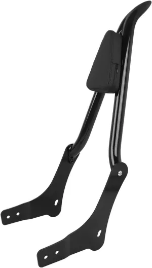 Motorcycle Luggage Rack Support Shelf for Rebel 1100 for CMX 1100 2021 2022 2023 Motorcycle Rear Passenger Detachables Backrest Luggage Rack Pad